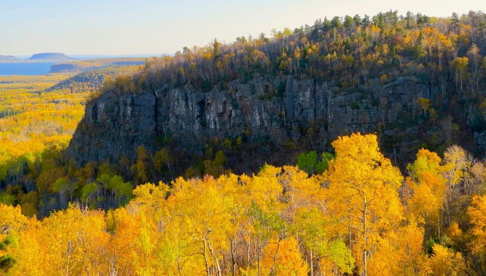 green and yellow trees on mountain during daytime