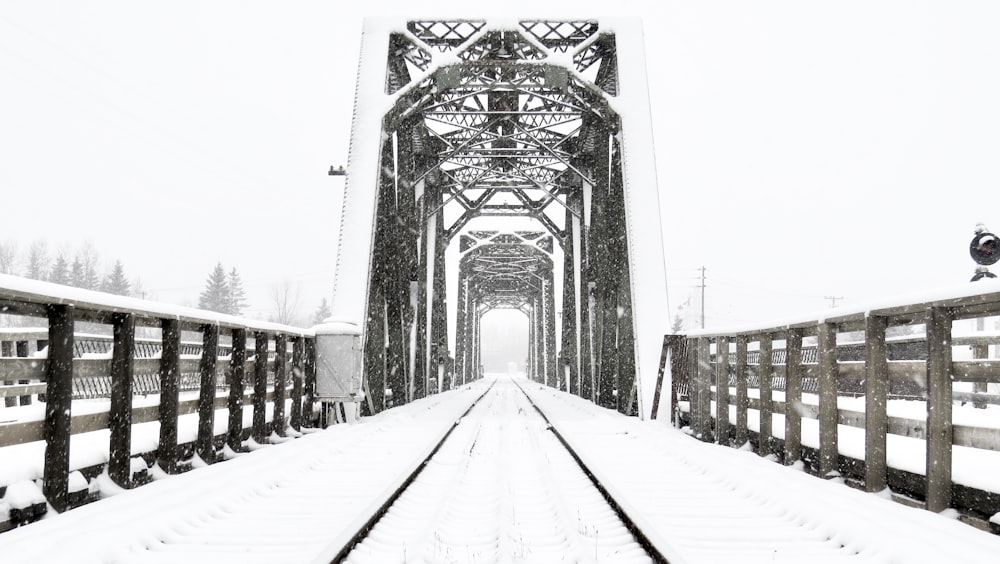 grayscale photo of bridge during daytime