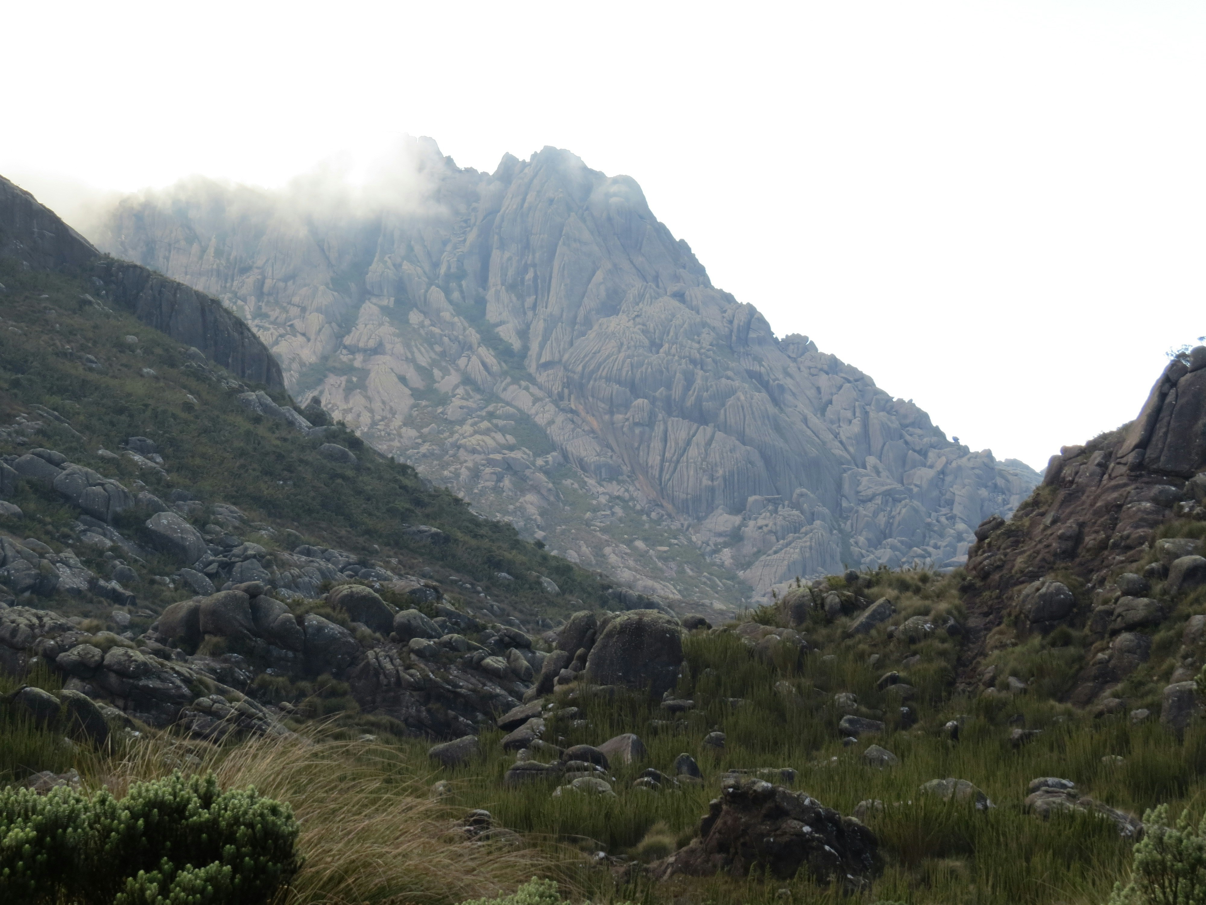 Photo by jaimedantas