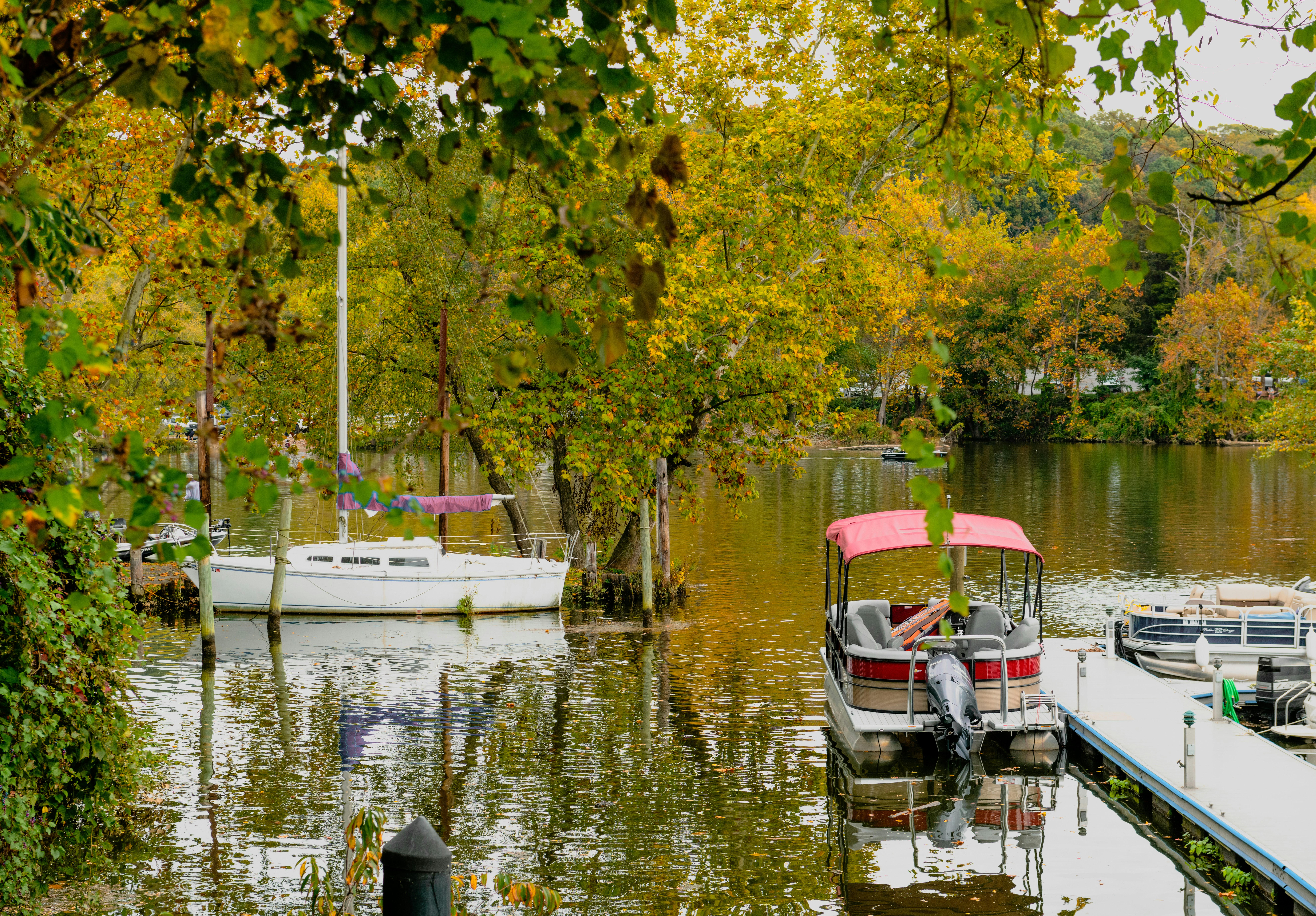 Photo by sriniunsplash