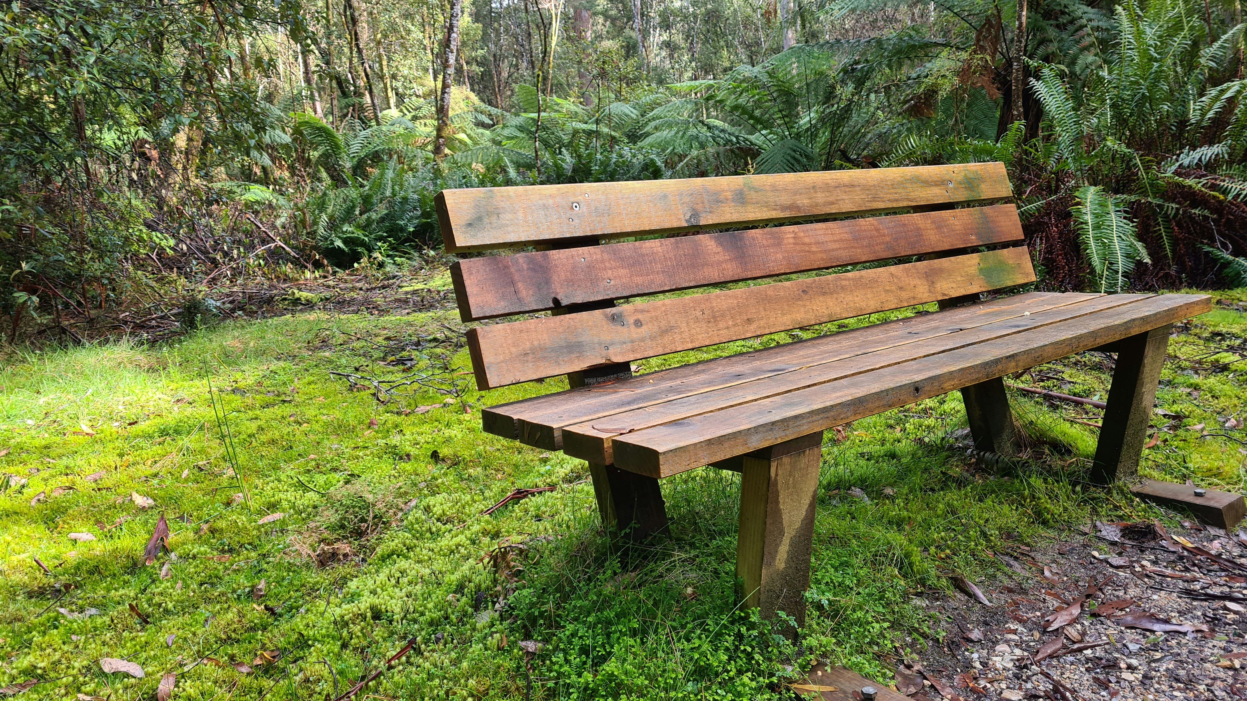 Rustic Cedar Outdoor Bench