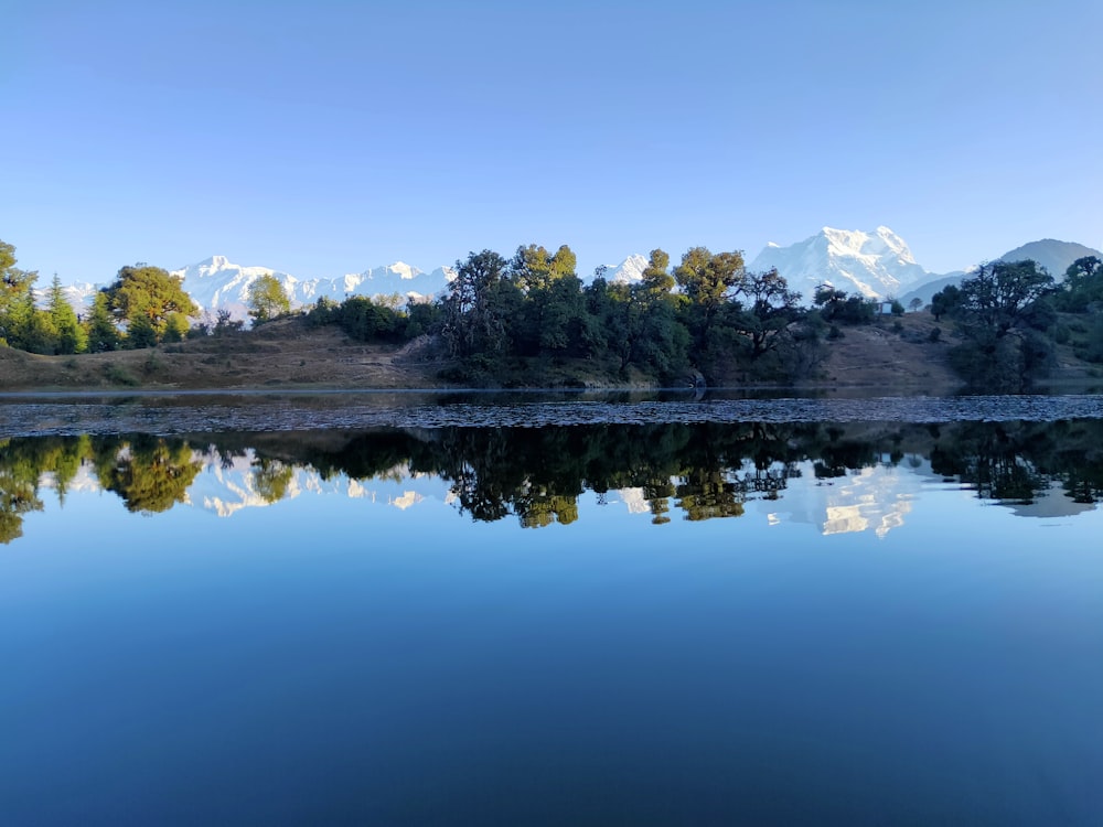 a large body of water surrounded by trees