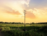 A rural landscape with a vibrant sunset sky. The foreground features green fields with patches of vegetation. A utility pole stands prominently in the center, supporting overhead cables. The horizon displays silhouettes of trees, creating a peaceful and serene atmosphere.