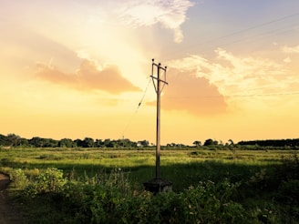 A rural landscape with a vibrant sunset sky. The foreground features green fields with patches of vegetation. A utility pole stands prominently in the center, supporting overhead cables. The horizon displays silhouettes of trees, creating a peaceful and serene atmosphere.