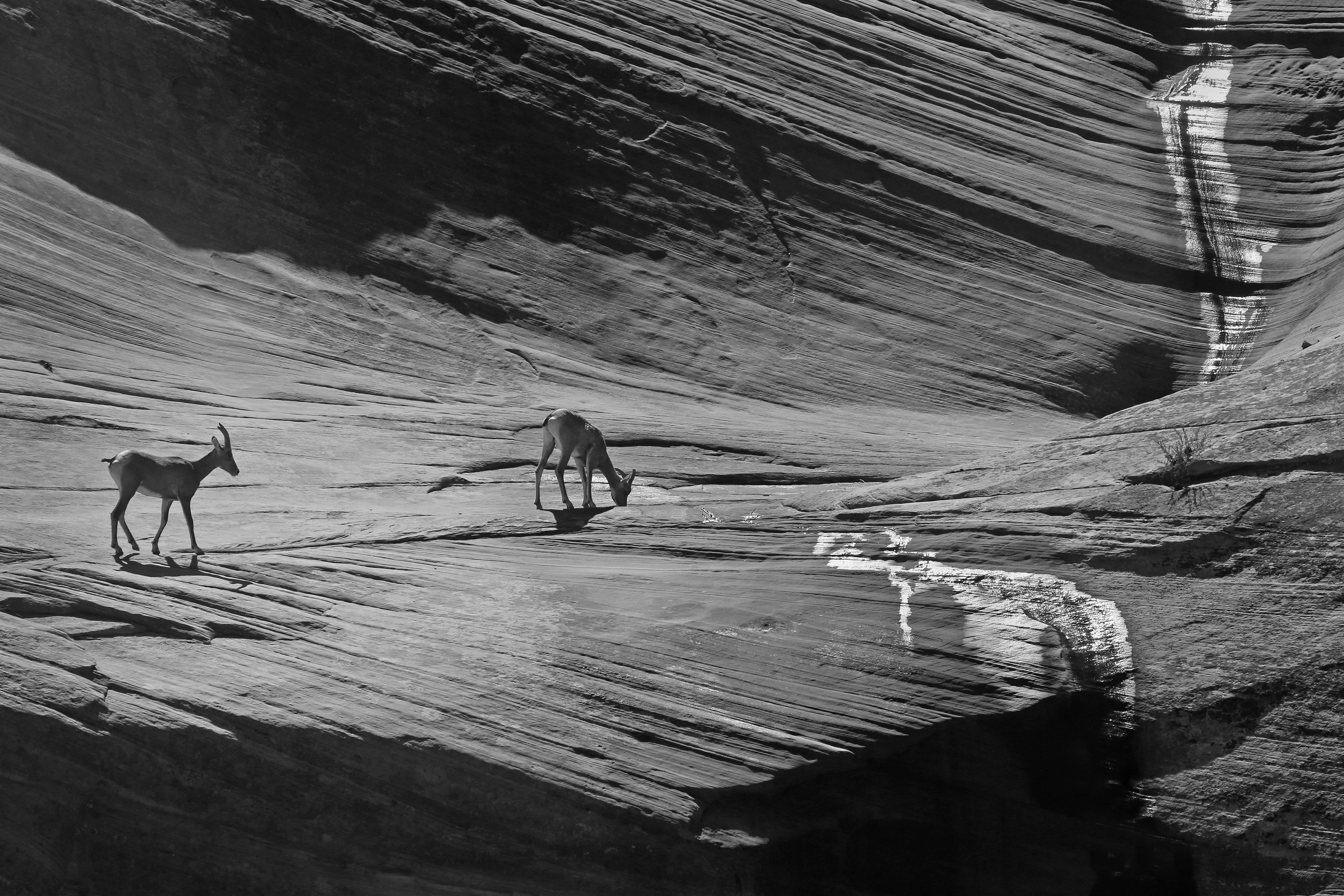 Photo by canonman_5d