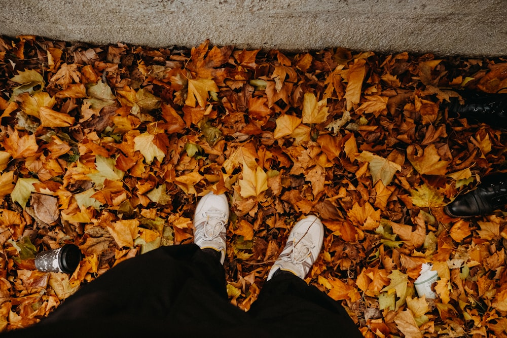 person in black pants and white sneakers standing on gray concrete floor