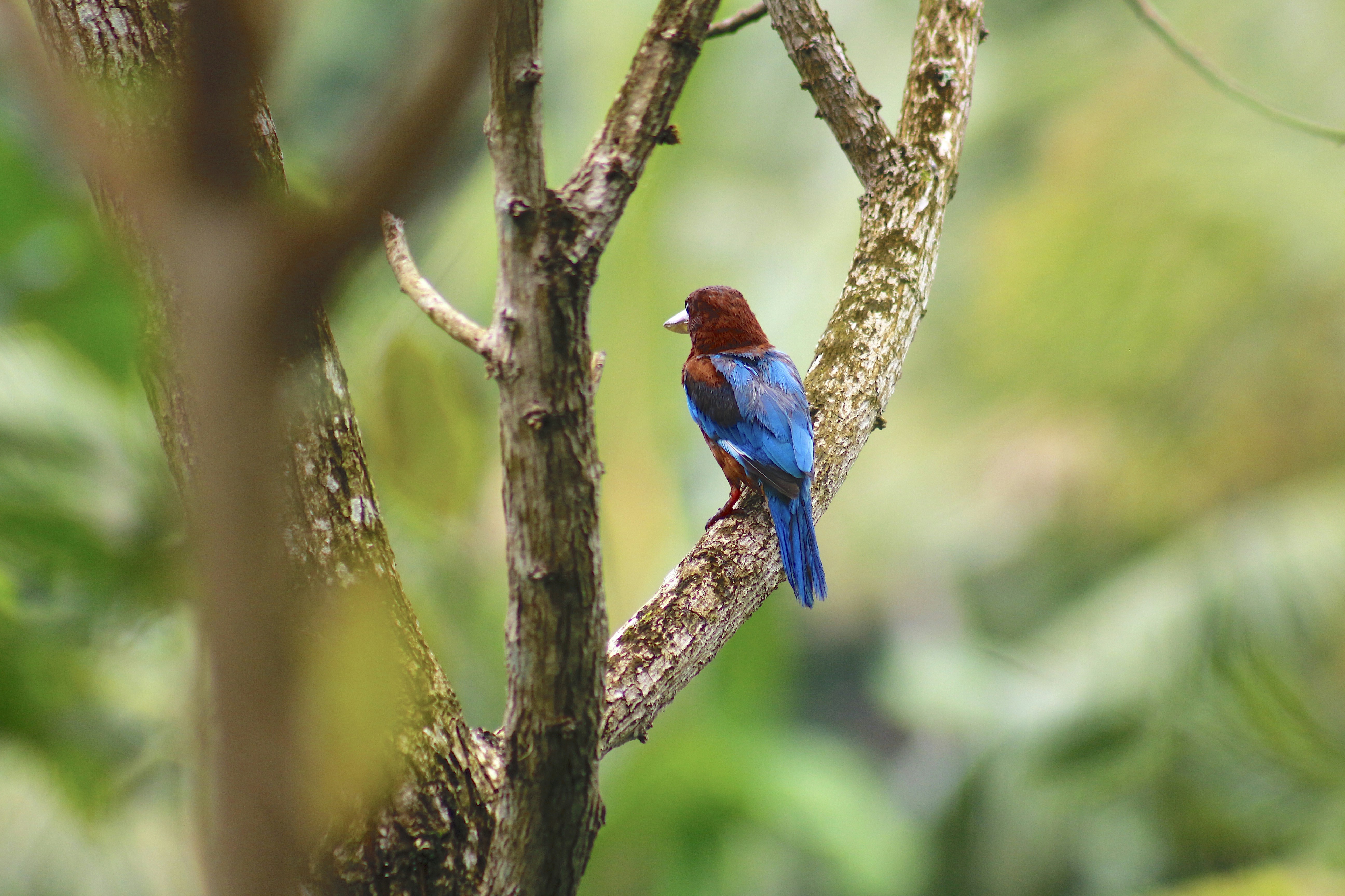 Photo by prathishkanna