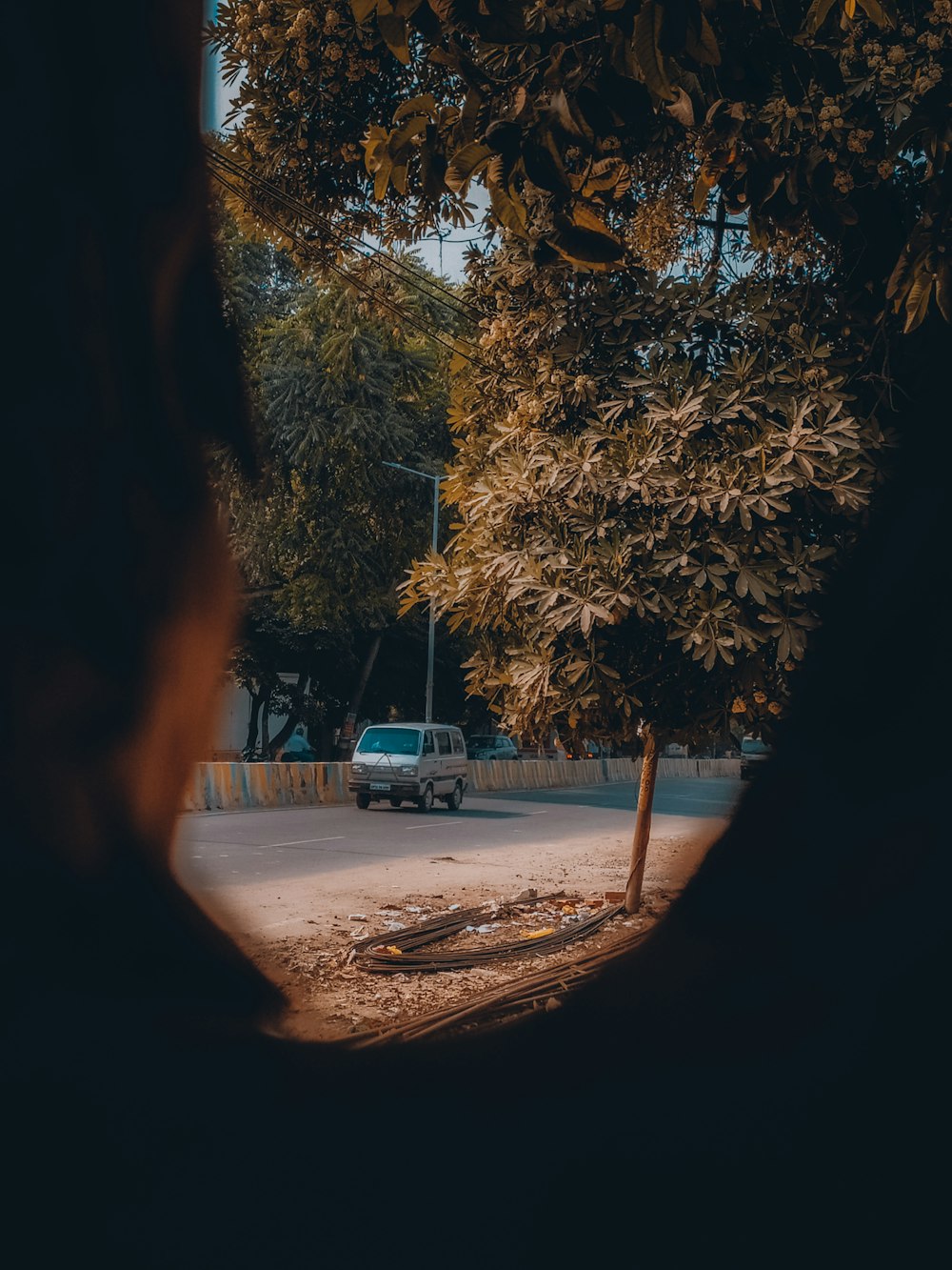 green car parked near trees during daytime