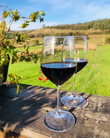 Two glasses of red wine placed on a rustic wooden table, overlooking a lush green vineyard. The sun casts warm shadows on the wood, adding a serene atmosphere. A small plant with green leaves and red flowers adds a touch of nature to the scene.