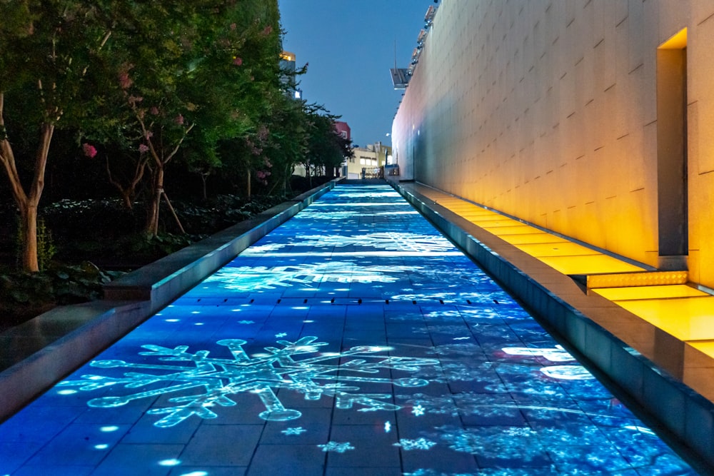 blue and white swimming pool