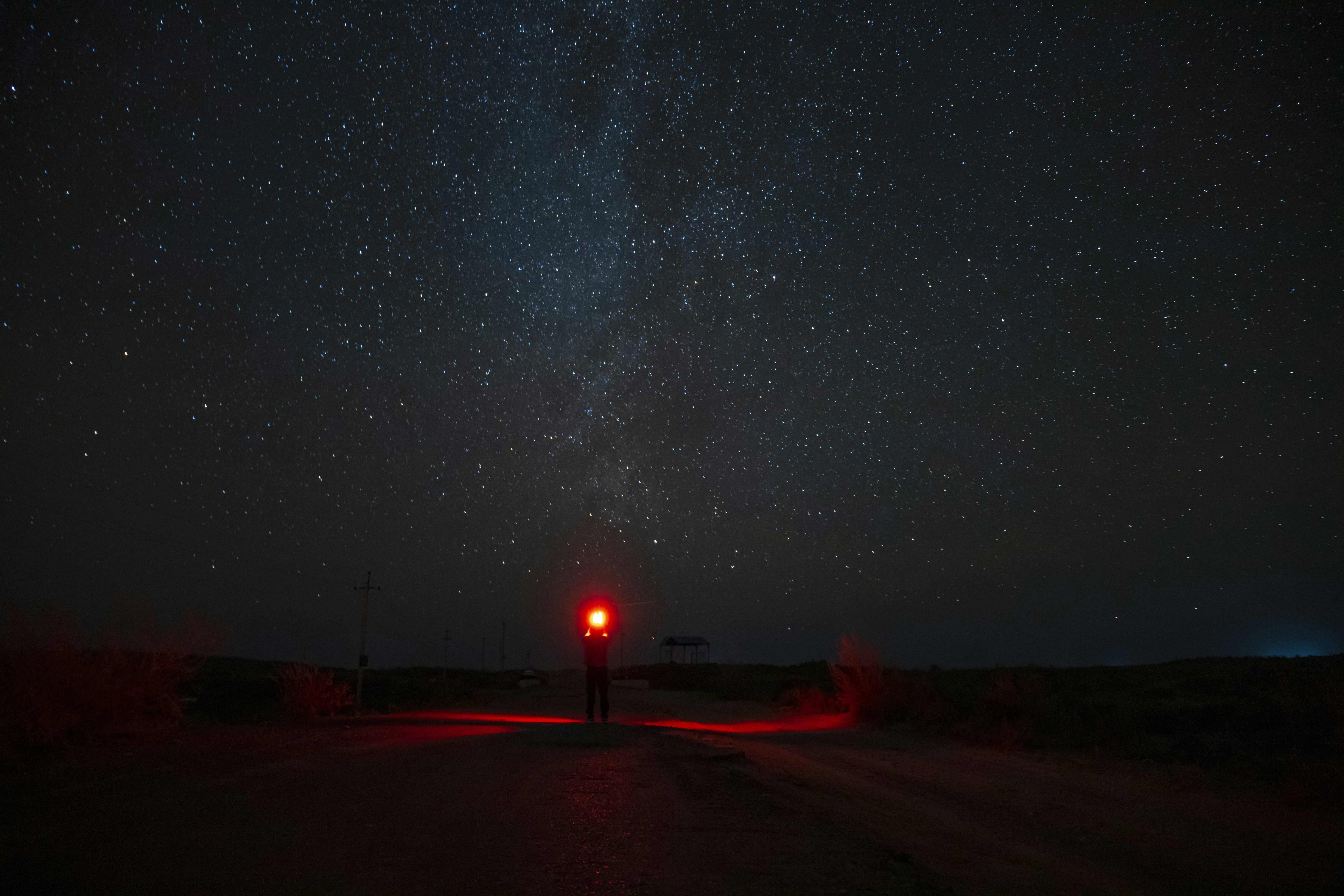 Photo by manakov