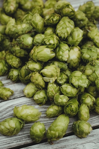 A pile of fresh green hop cones resting on a wooden surface. The hops are vibrant and densely packed, showcasing their distinct layered texture and natural green hue.