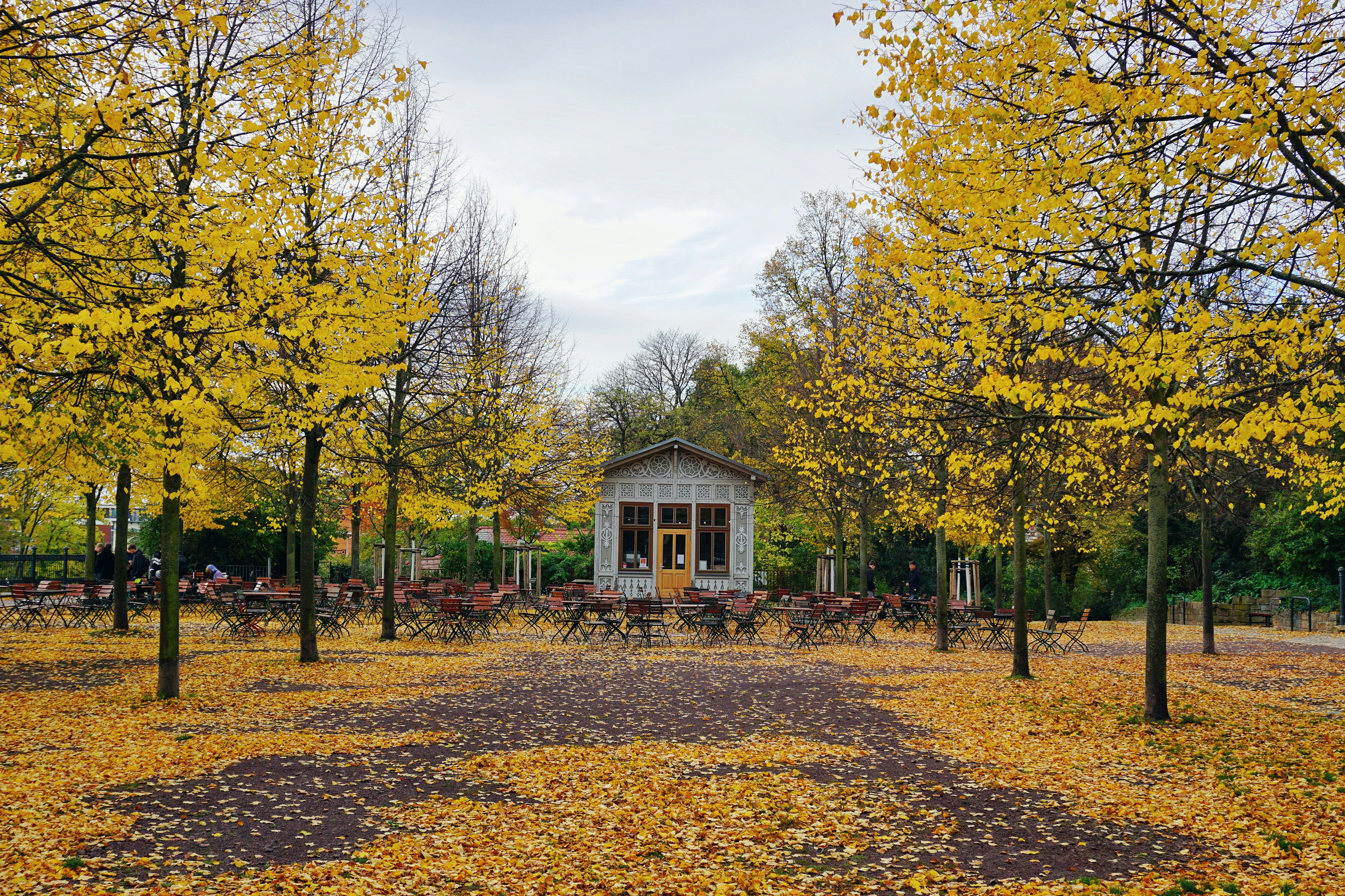 Photo by maheshkumar_painam