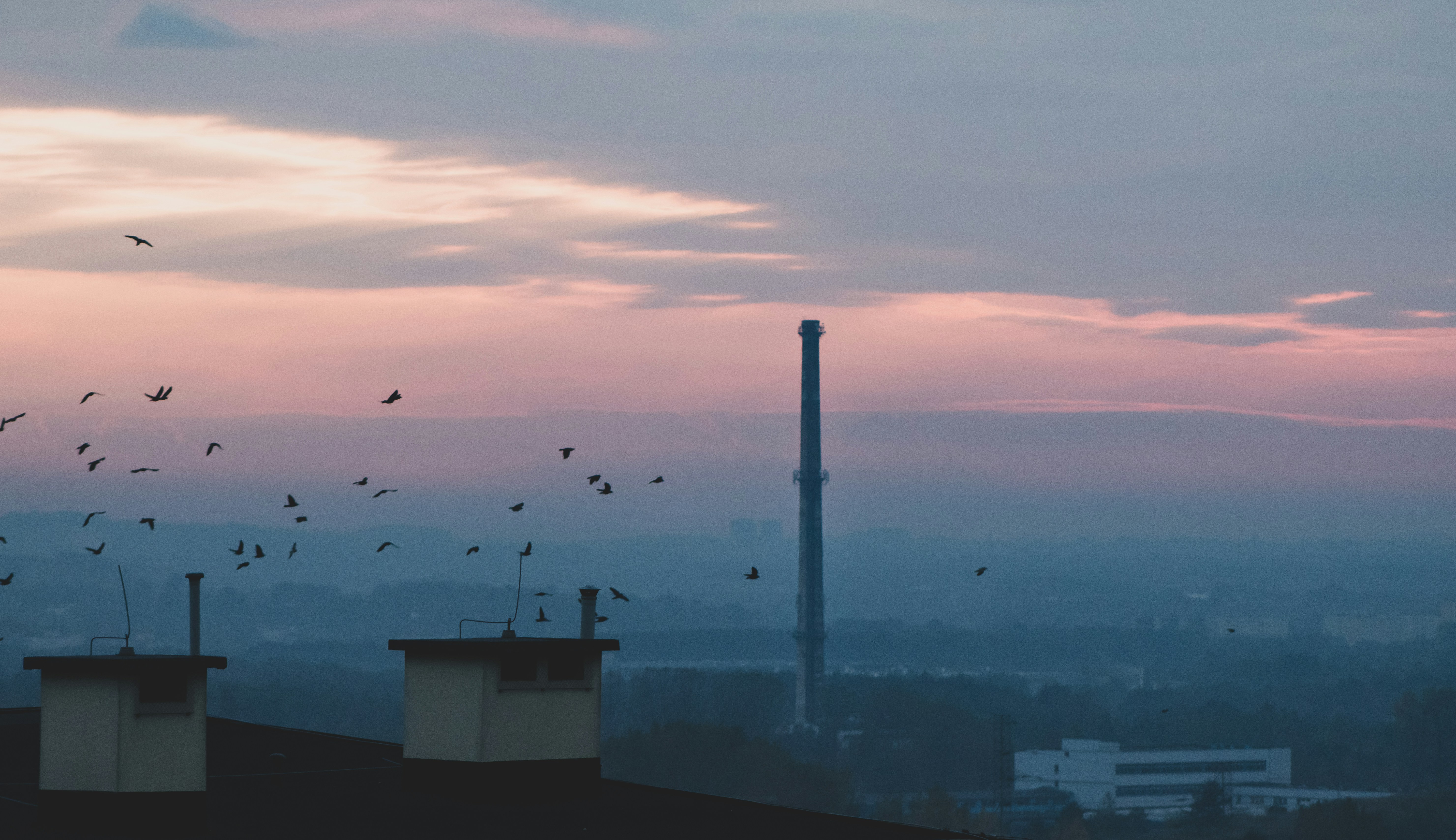 Pink Skies of Sunset and Pollution (image credits: unsplash)