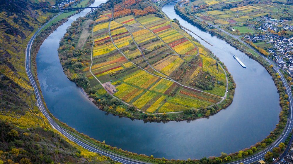 aerial view of green and yellow field near body of water during daytime