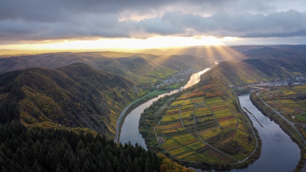 aerial view of green mountains and trees during daytime