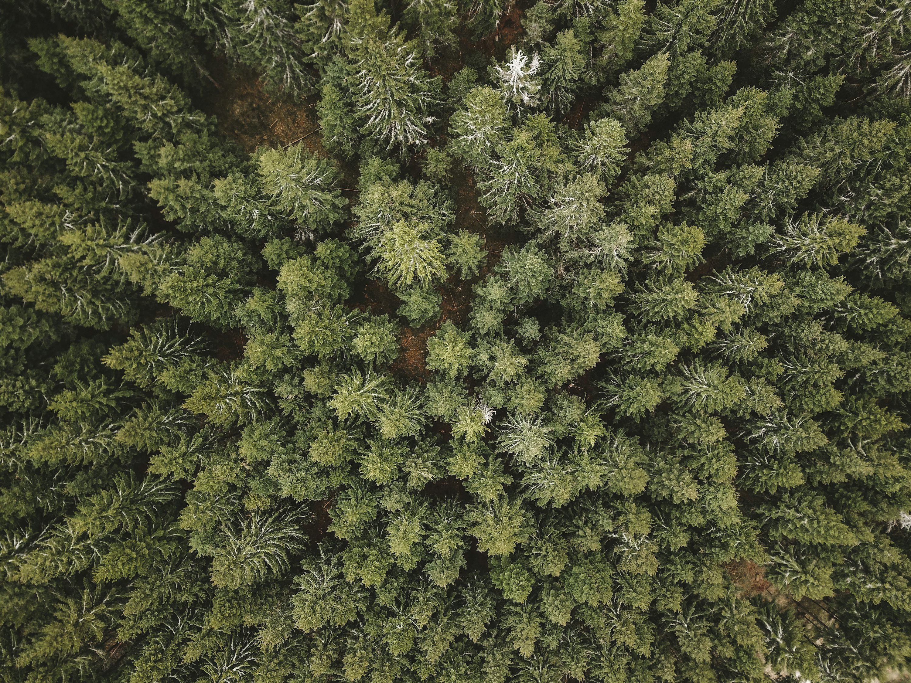 Landscape From Above Pictures Download Free Images on Unsplash Landscape From Above Pictures Download Free Images on Unsplash