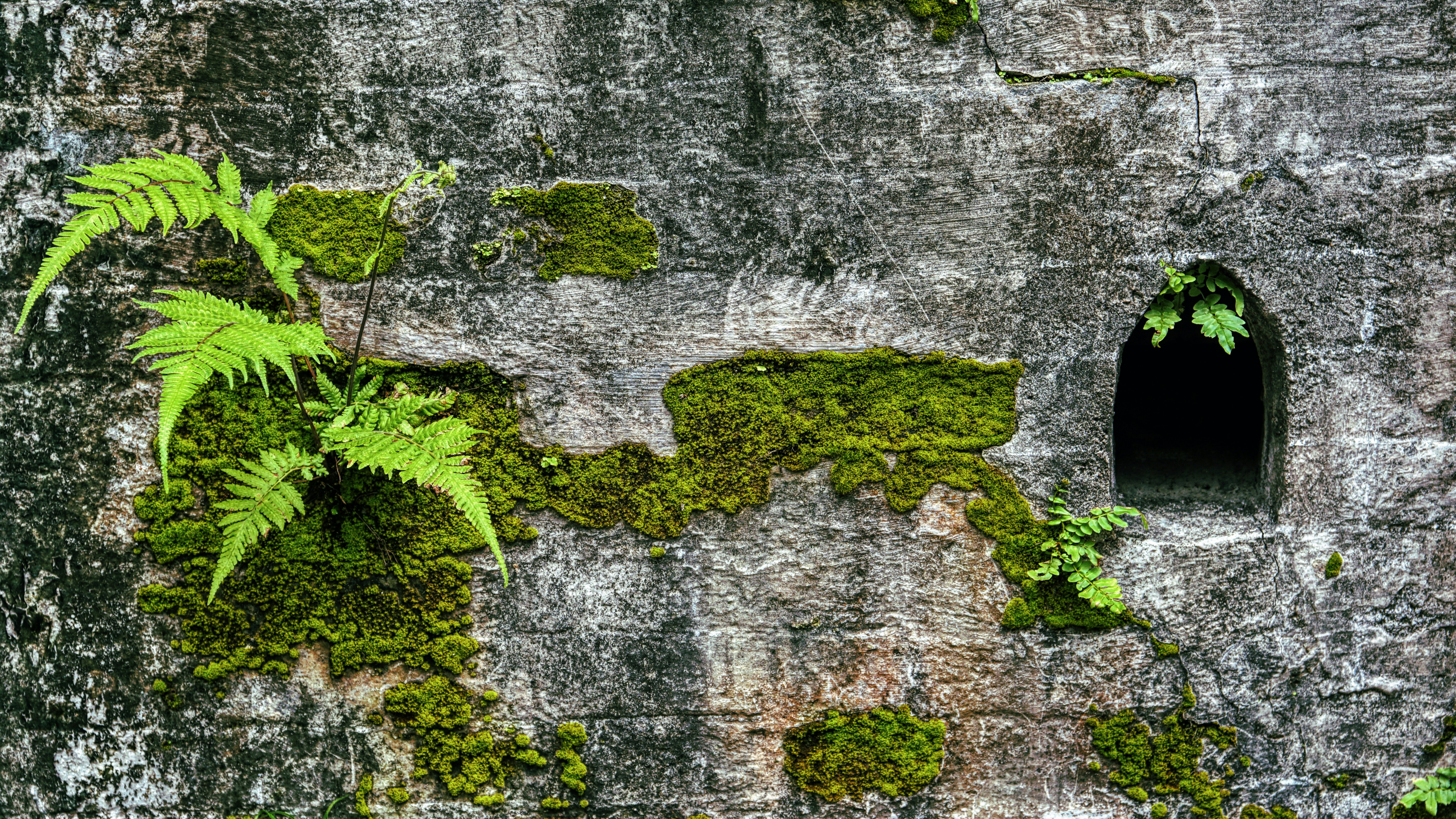 Photo by thomaskinto