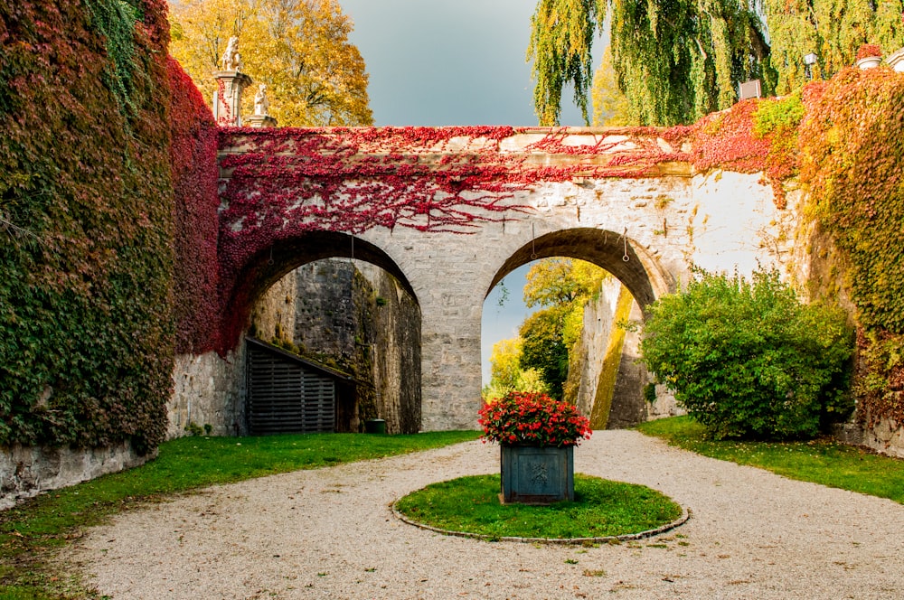 Arco in mattoni marroni con erba verde e alberi