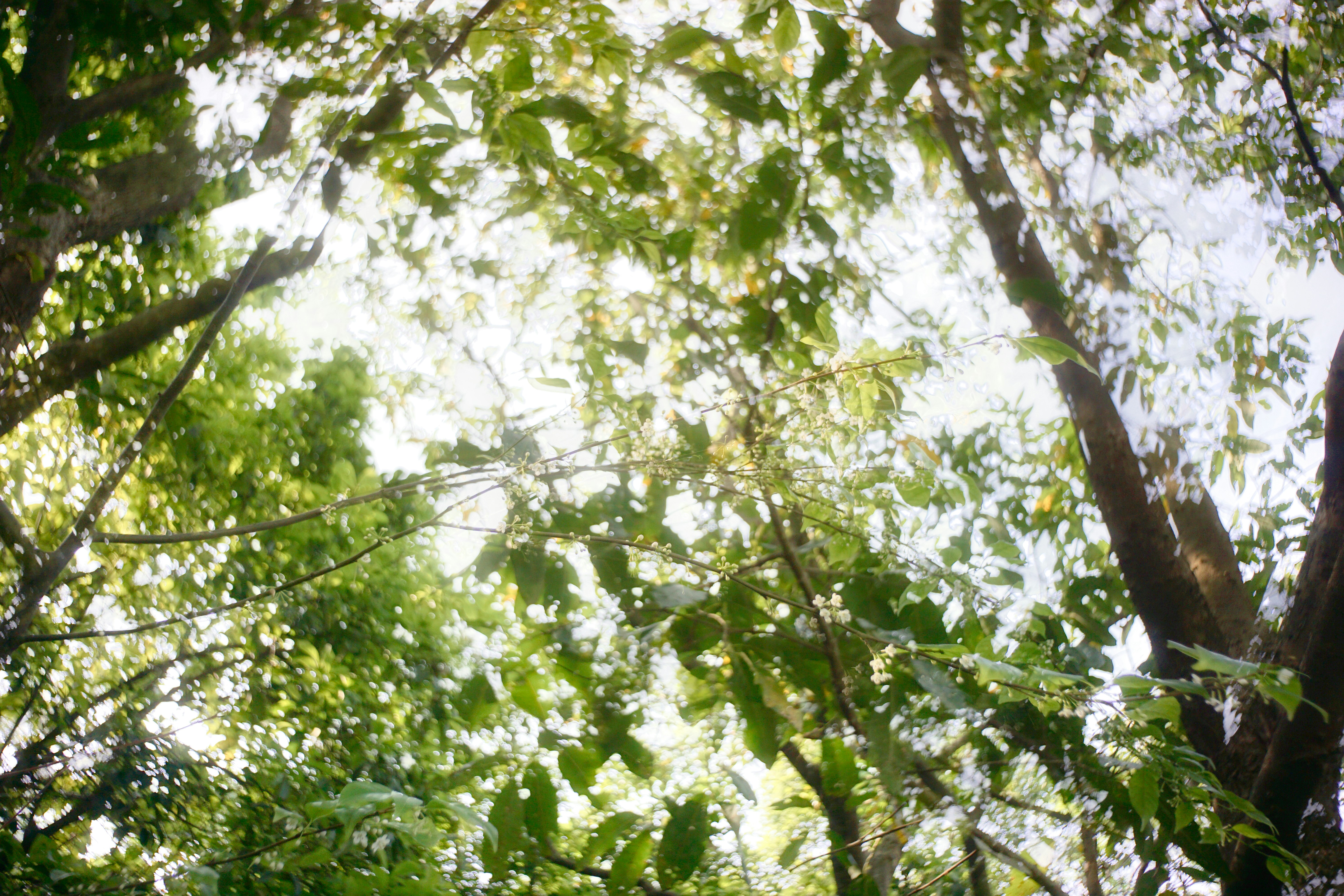 Photo by thomaskinto