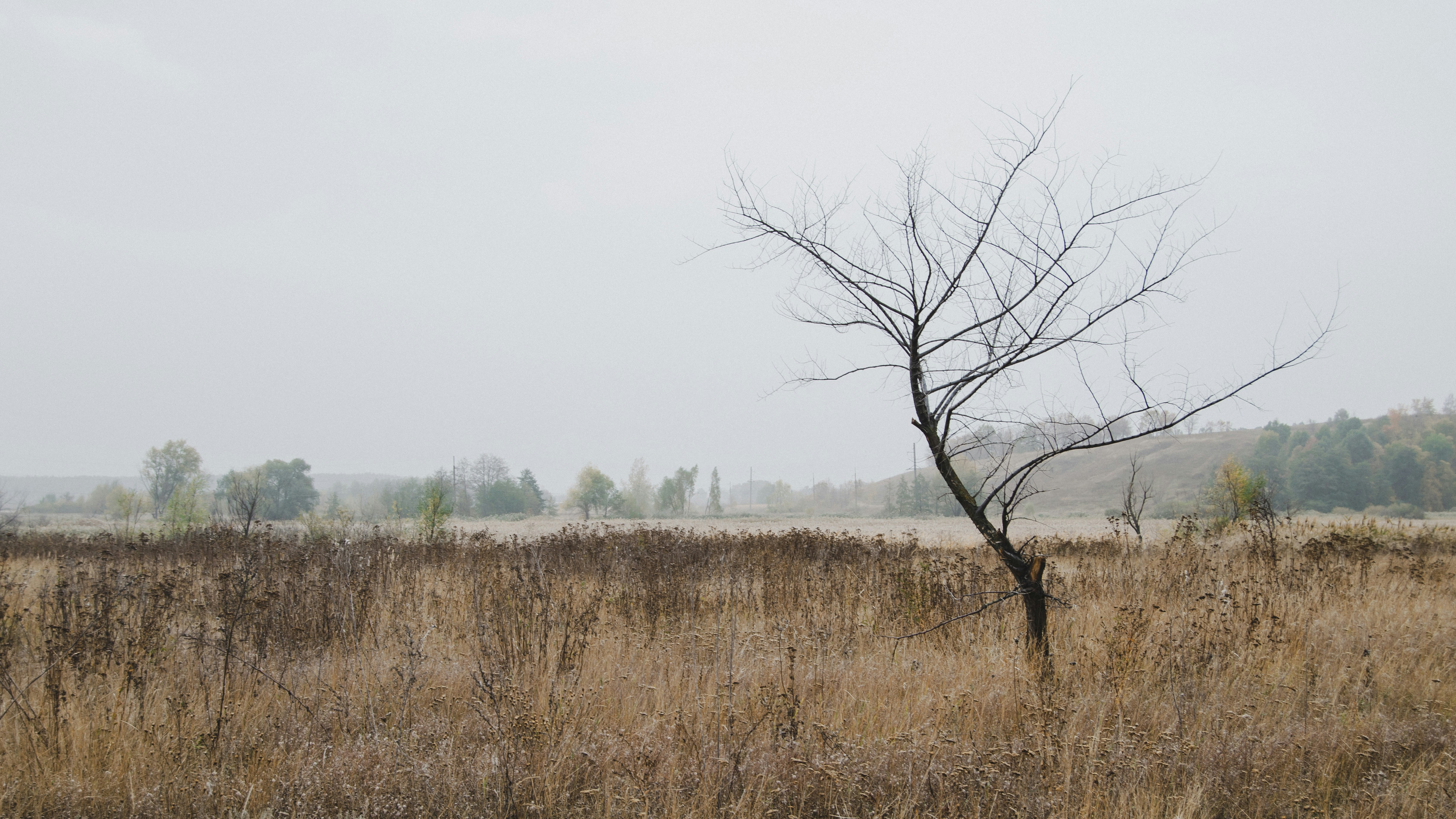 Photo by akari_tsuru