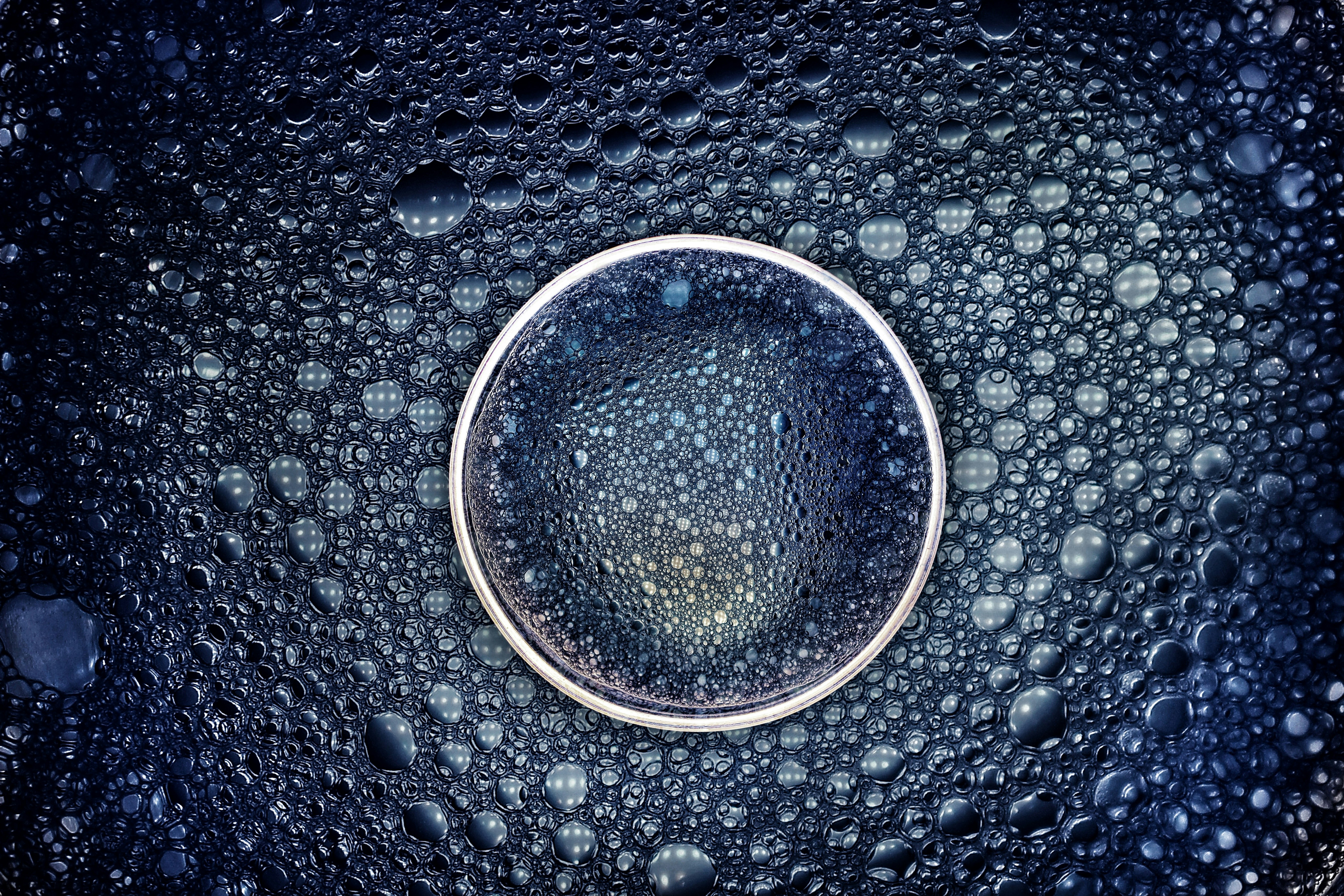 Photo by dibakar16roy