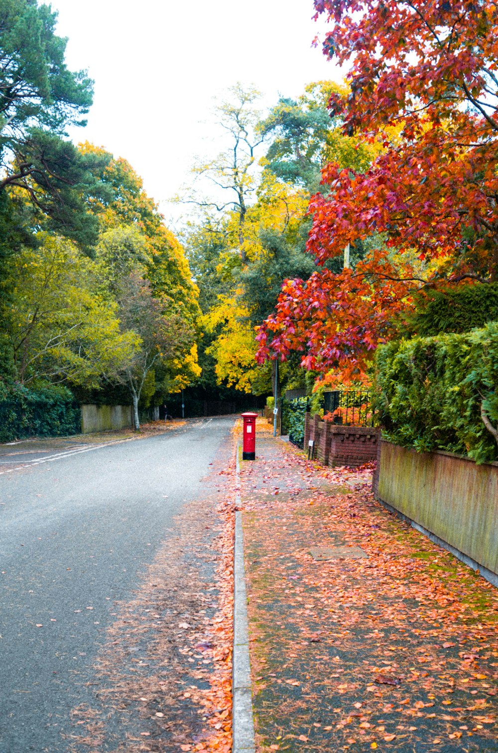 red and white road sign near green trees during daytime