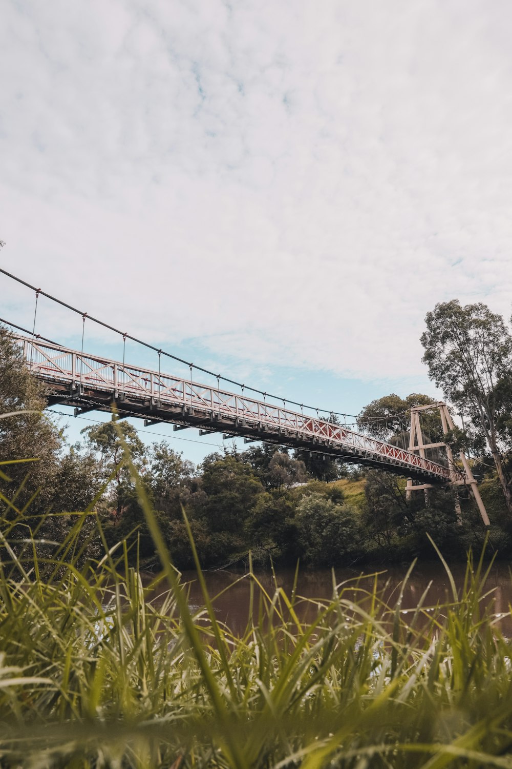 gray bridge over green trees