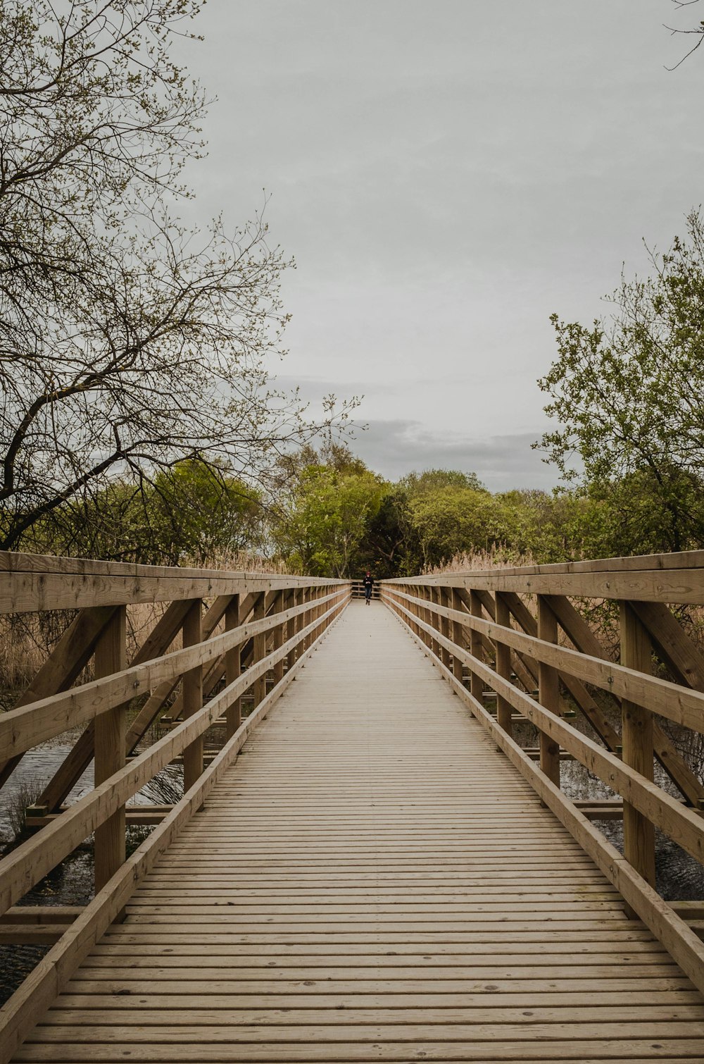 brown wooden bridge over green trees during daytime