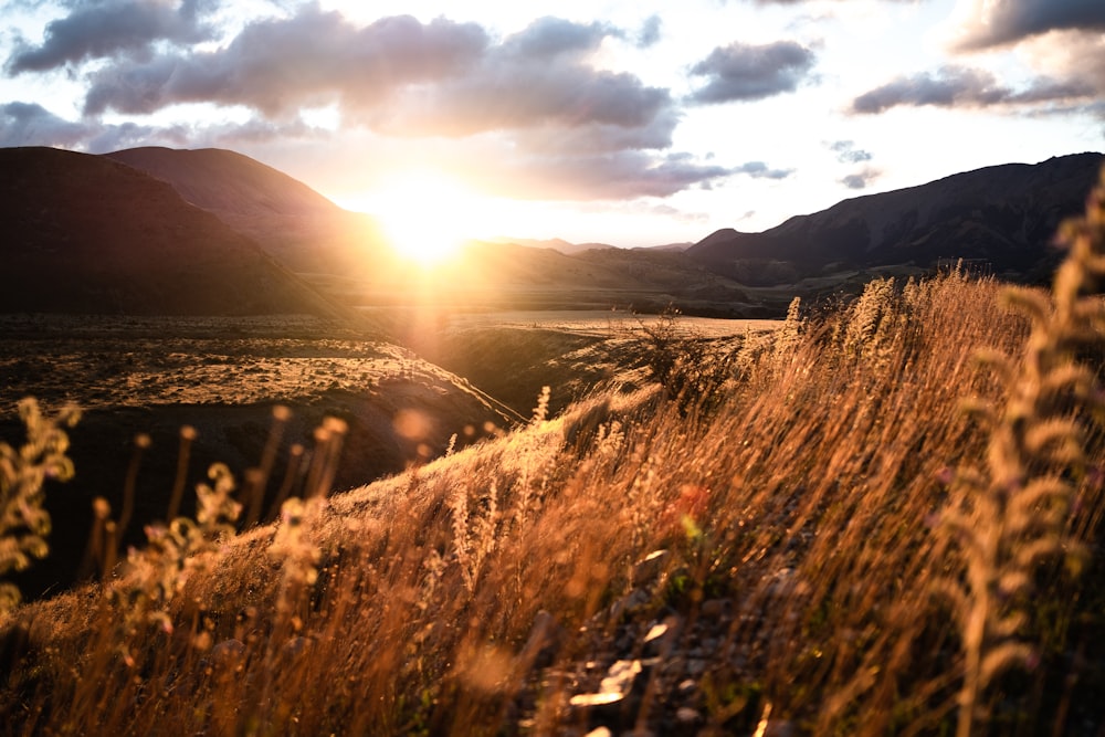 brown grass field near mountain during daytime