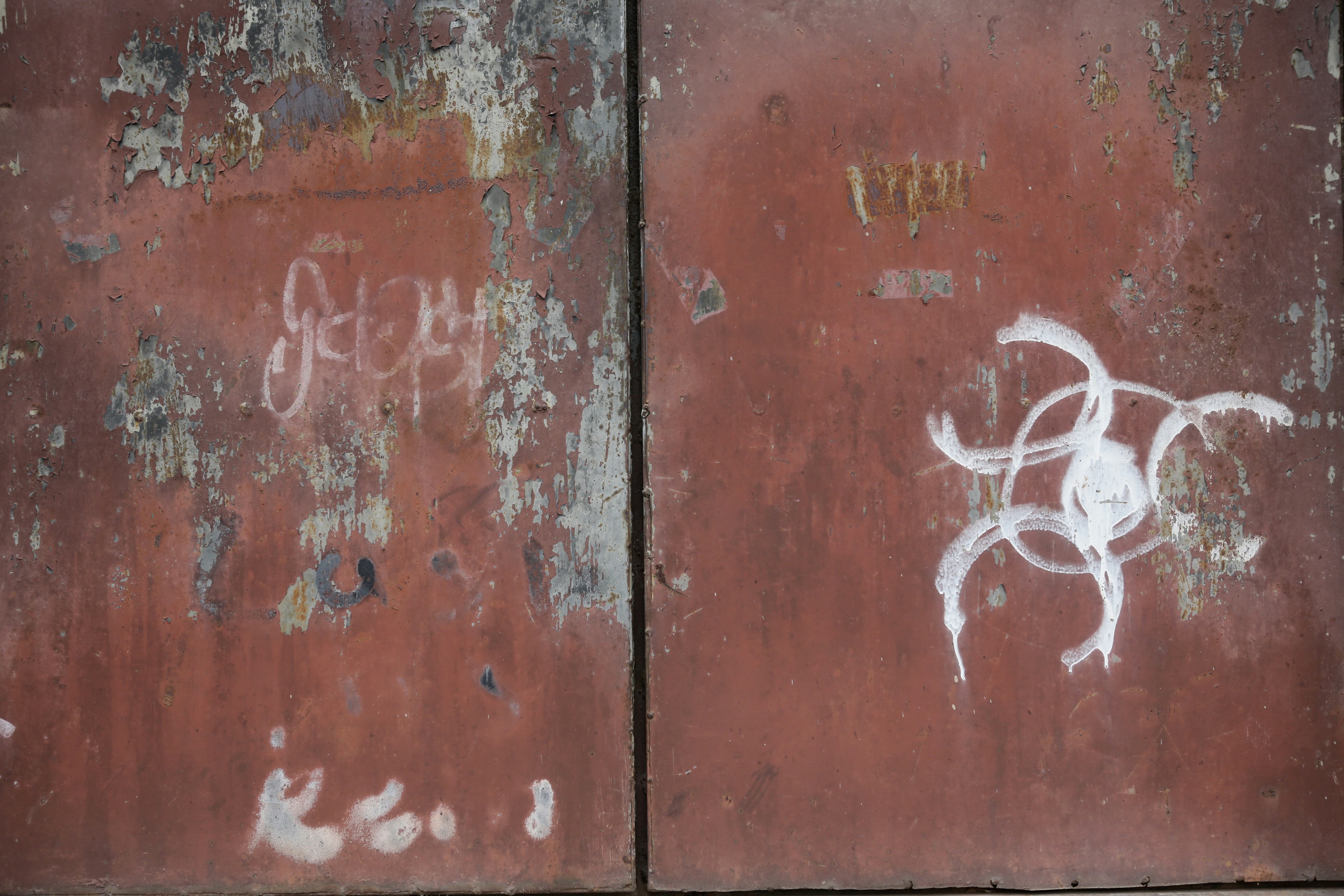 Photo by wilhelmgunkel