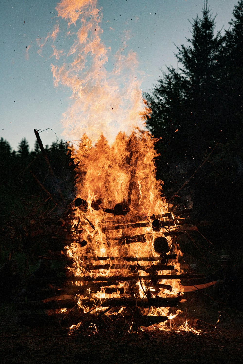 fire on forest during night time