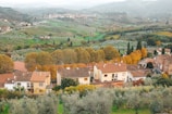 A picturesque rural landscape featuring a cluster of houses with terracotta roofs nestled among lush greenery and trees displaying autumn colors. Beyond the houses, expansive fields and vineyards extend towards rolling hills under a hazy sky.