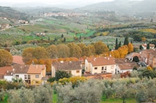 A picturesque rural landscape featuring a cluster of houses with terracotta roofs nestled among lush greenery and trees displaying autumn colors. Beyond the houses, expansive fields and vineyards extend towards rolling hills under a hazy sky.