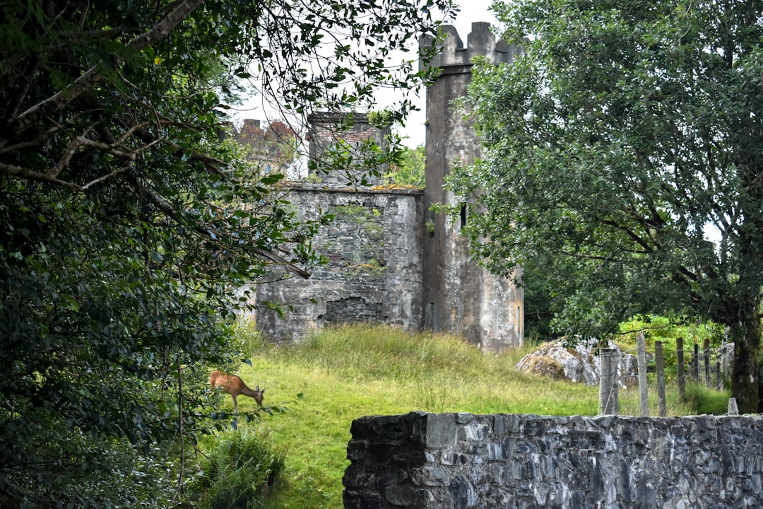 Ruins photo spot Kerry Leamaneh Castle