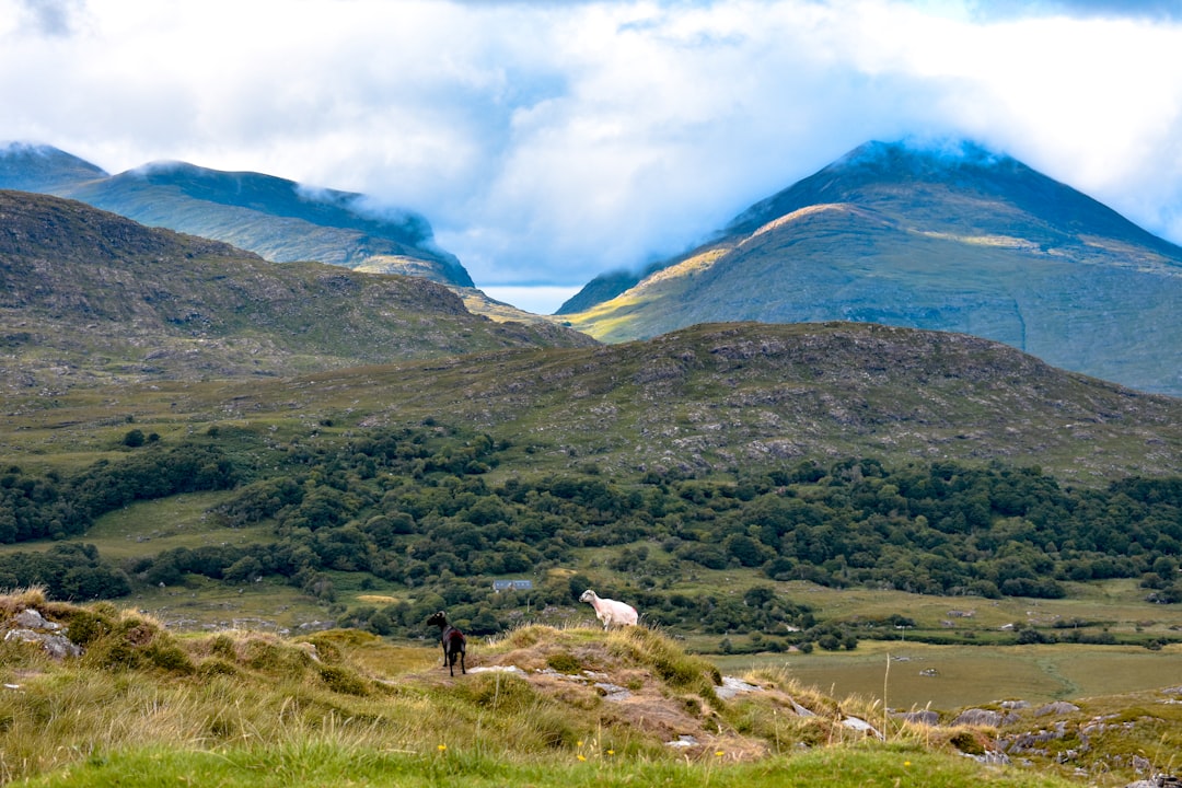 Hill photo spot Killarney Conor Pass