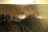 Golden sunlight bathes a field covered in tall grasses and wild plants. A body of water glimmers in the background, creating a serene and tranquil setting. The overall atmosphere is peaceful, with a natural, untouched landscape.