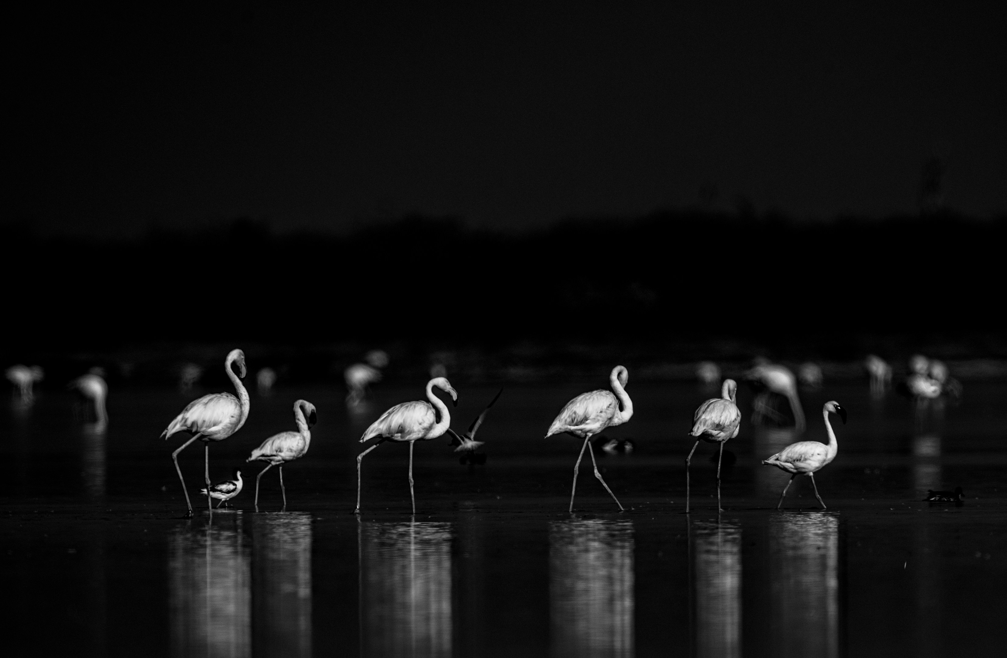 Photo by abhijit_sinha