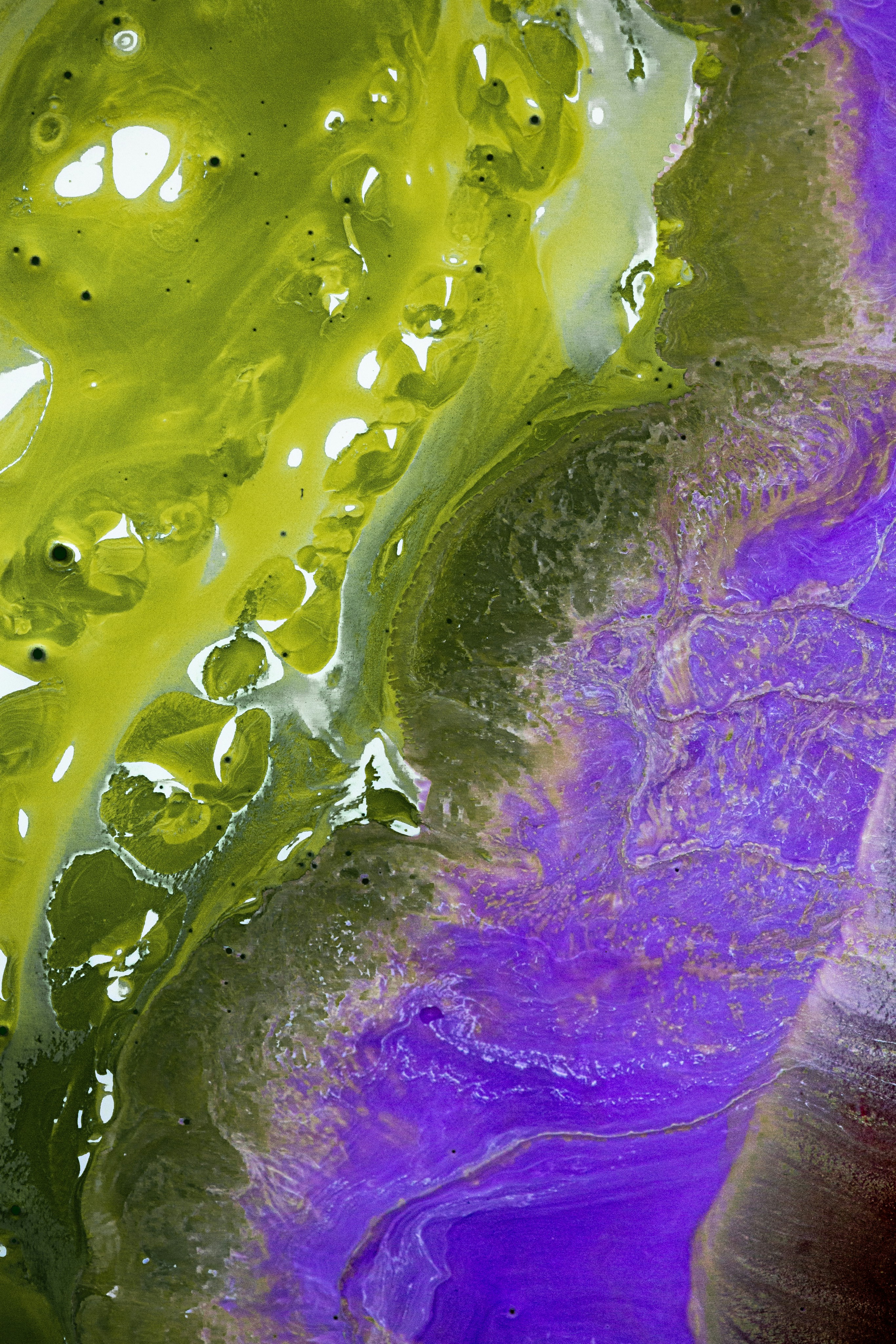 Photo by solenfeyissa