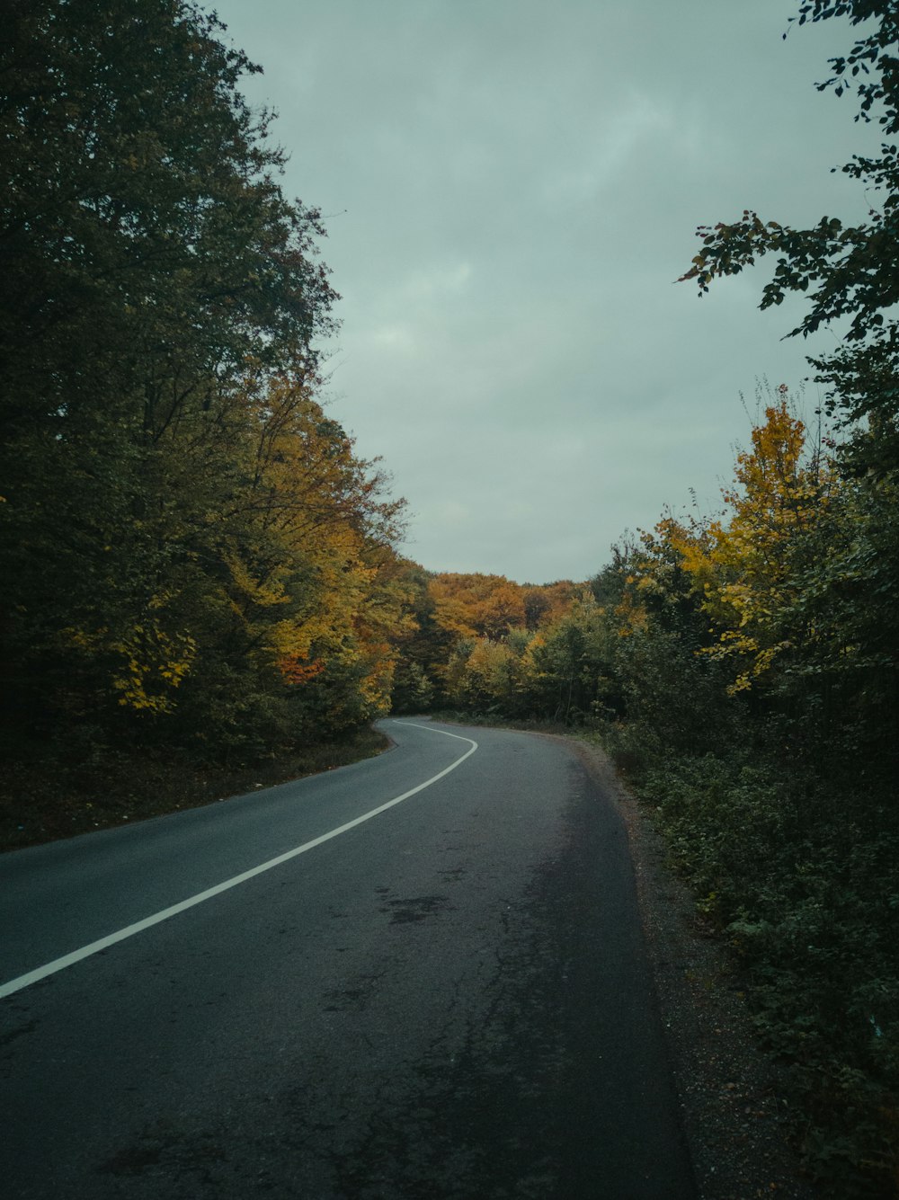 gray asphalt road between green trees under white cloudy sky during daytime