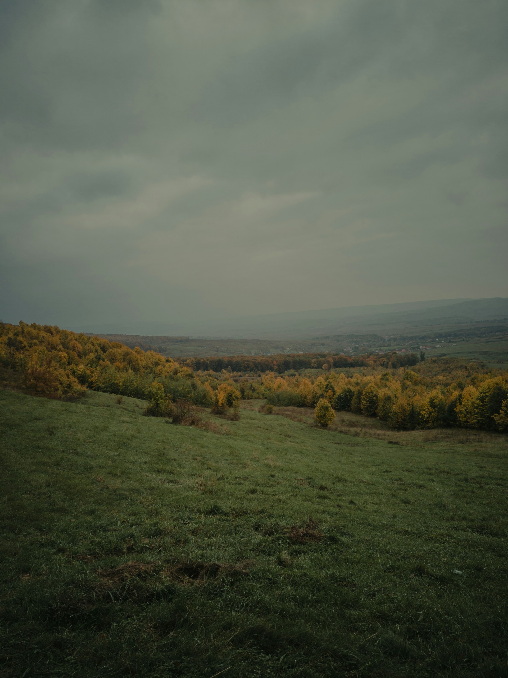 green grass field under cloudy sky during daytime