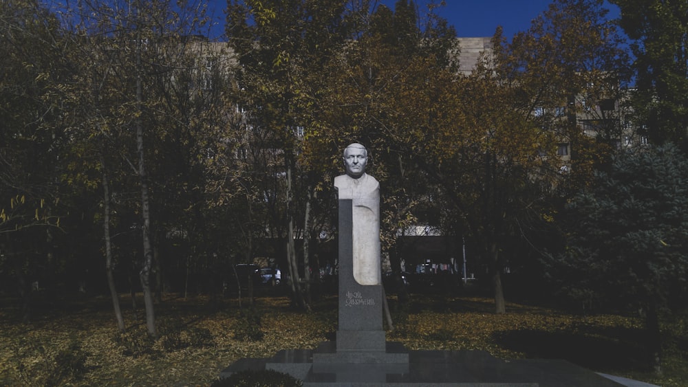 white statue near green trees during daytime