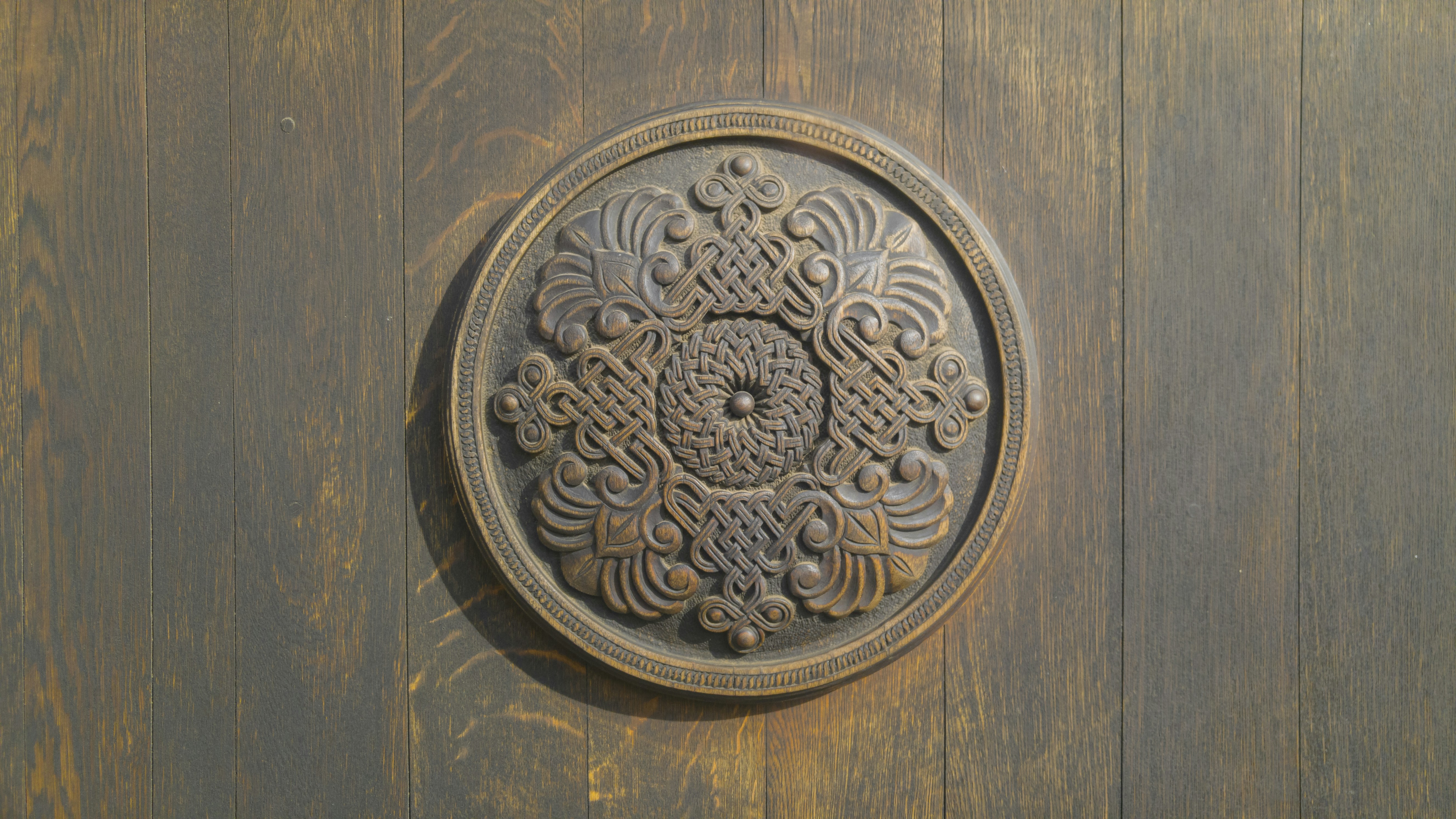 Photo by mostafa_meraji