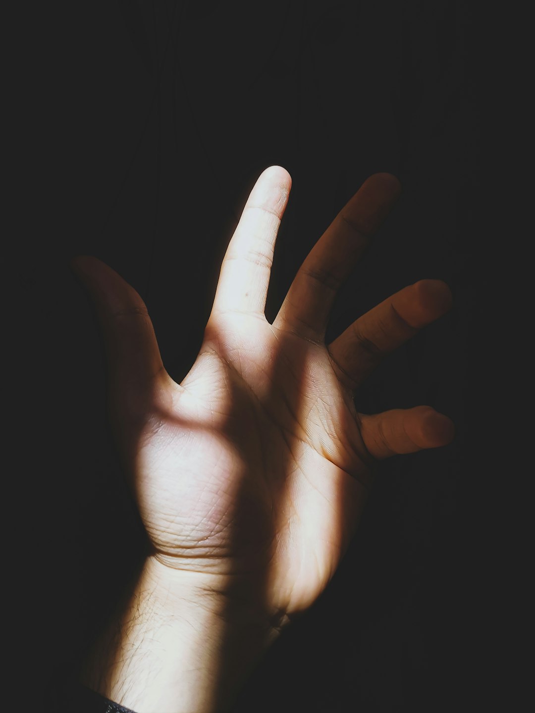 persons hand doing peace sign