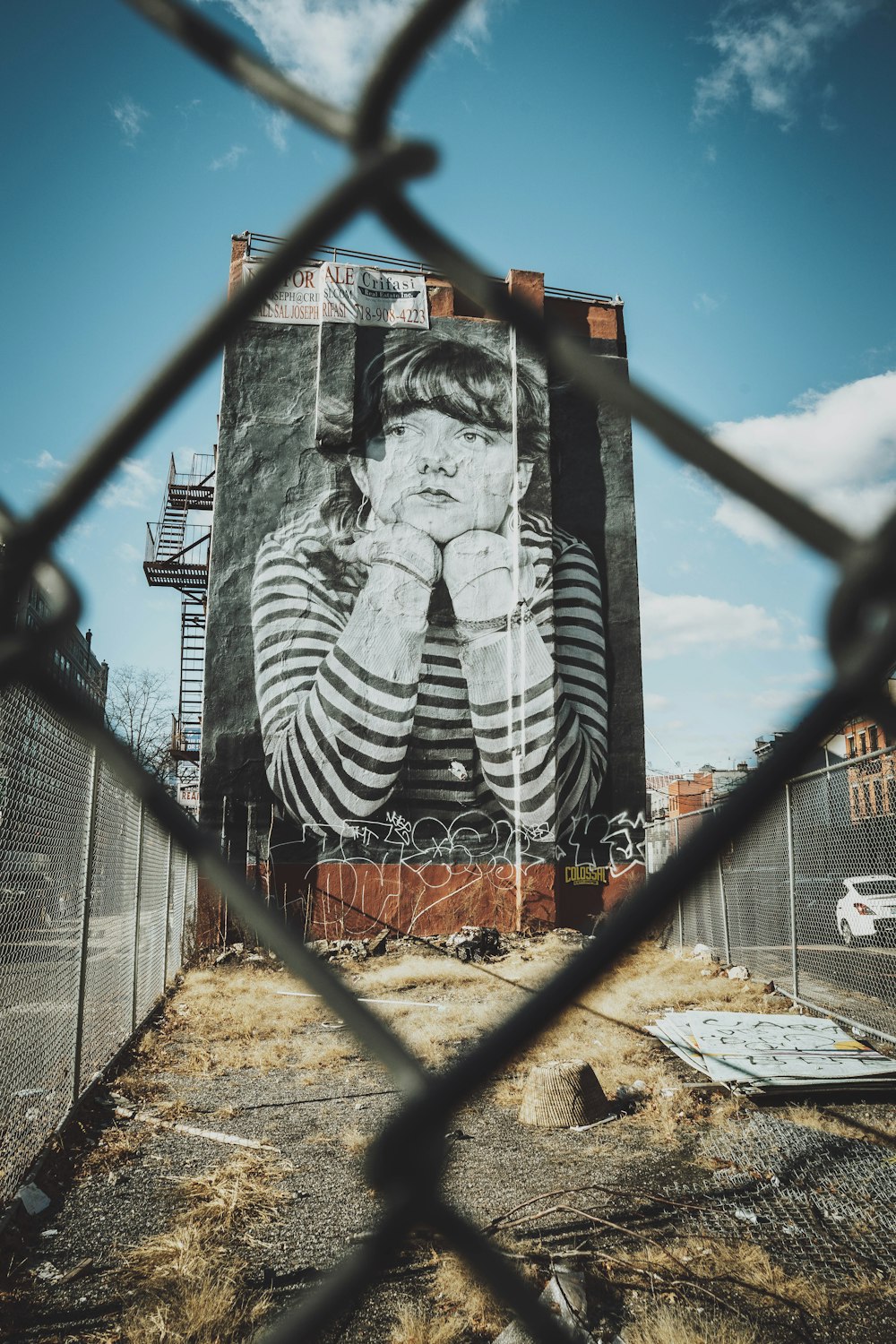 black and white zebra print on gray metal fence