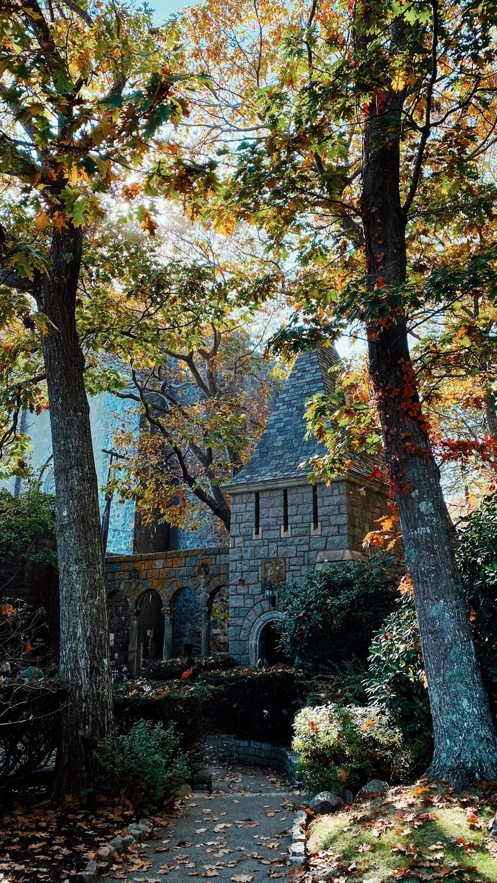 brown and gray concrete house near green trees during daytime