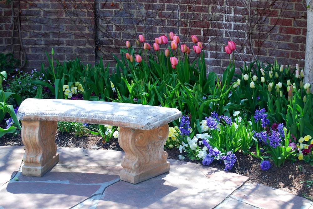 red tulips on brown wooden bench