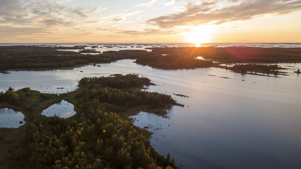 green trees near body of water during sunset