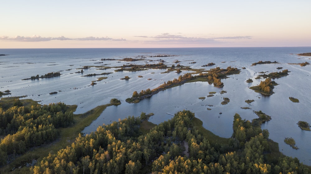 erba verde e alberi vicino allo specchio d'acqua durante il giorno