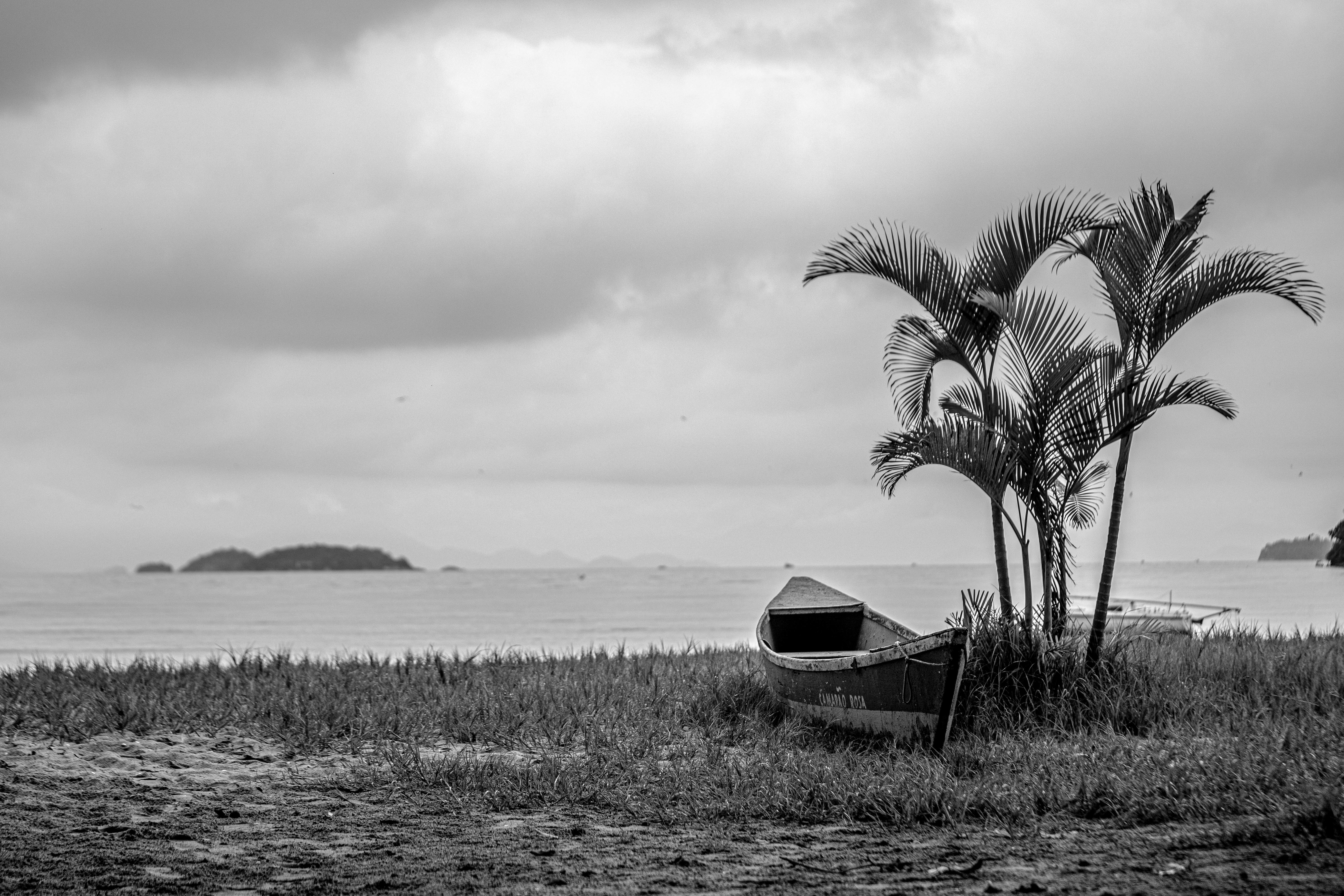 Photo by daniloalvesd